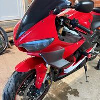 Winglet per R6 Yamaha e R6S