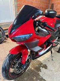 Winglet per R6 Yamaha e R6S