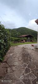 Villetta singola