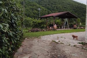 Villetta singola
