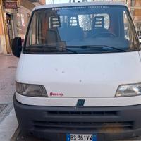 Camion Fiat Ducato