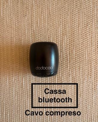 Cassa bluetooth portatile