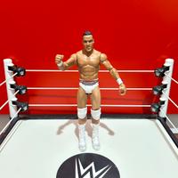 Wrestler WWE Jinder Mahal