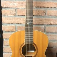 Chitarra acustica Echo