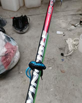 bolognese maver invincibile invincible