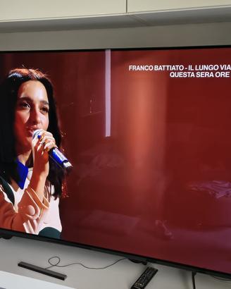 TV OLED Sony 65 pollici