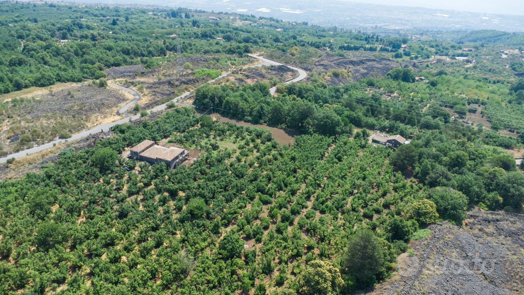 Tenuta - Mascali - Vista 5