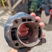 Top Trophy Minarelli