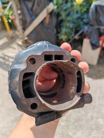 Top Trophy Minarelli