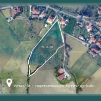 Seminativo a Verucchio