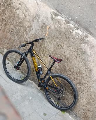 bici Lombardo 