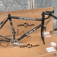 Bici CBT Italia Dream in carbonio