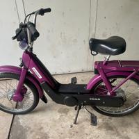 Ciao PX VIOLA CONSERVATO con libretto