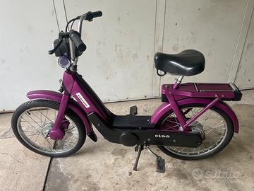 Ciao PX VIOLA CONSERVATO con libretto