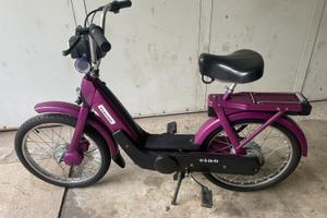 Ciao PX VIOLA CONSERVATO con libretto