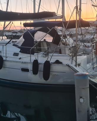 Splendida BENETEAU OCEANIS 361 CLIPPER