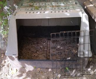 box per trasporto cani di taglia grande 
