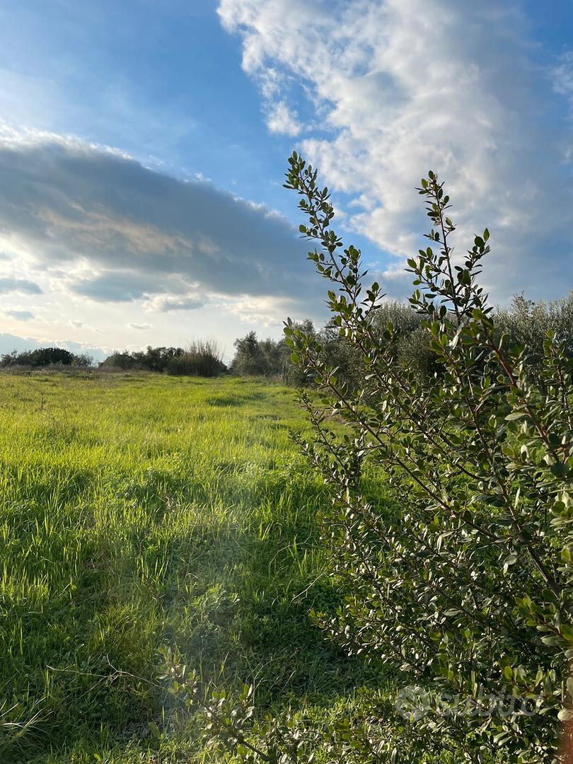 Terreno agricolo - Vista 2