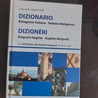 dizionario 