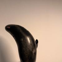 paracollettore in carbonio