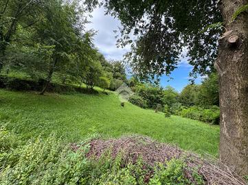 TER. AGRICOLO A VITTORIO VENETO
