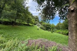 TER. AGRICOLO A VITTORIO VENETO