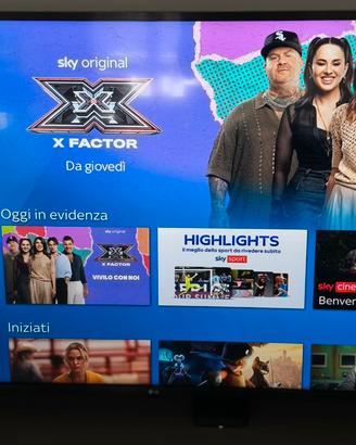 TV 55 pollici lg smart 