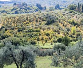 Scandicci - Vingone, Terreno agricolo