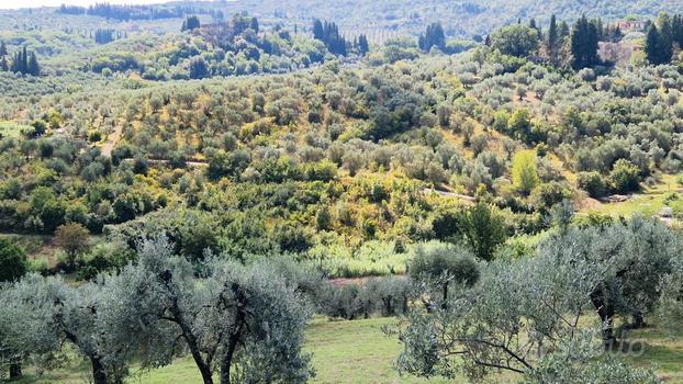 Scandicci - Vingone, Terreno agricolo