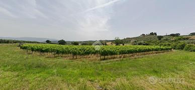 TER. AGRICOLO A BEVAGNA