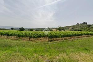 TER. AGRICOLO A BEVAGNA