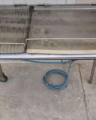 Griglia a gas due piastre inox