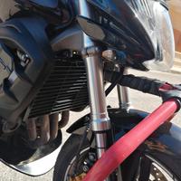 Honda Hornet 