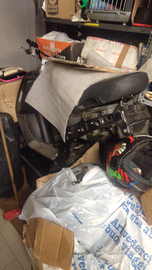 Telaio zip fast rider