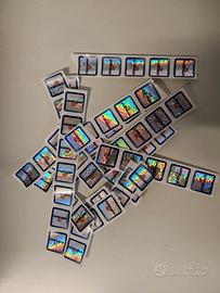 collezione Esselunga Salomon 