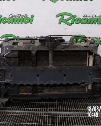RIVESTIMENTO - OSSATURA FIESTA 1.4 TDCi 2010