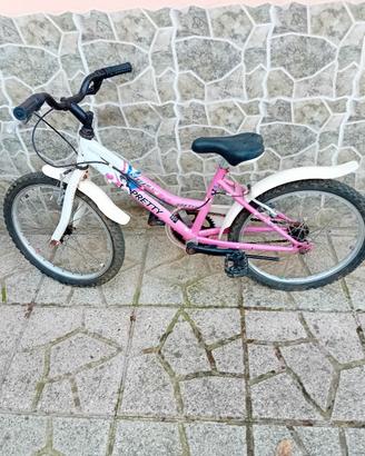 bicicletta