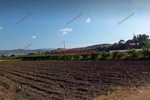 Terreno, Campofelice di Roccella.