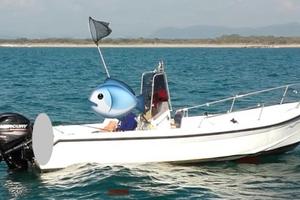 Barca gabbianella 5.70 con Mercury 40 pro