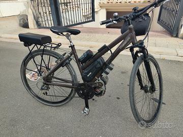 bicicletta elettrica 