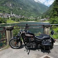 Harley Davidson 883 iron