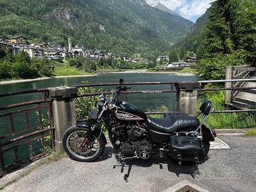 Harley Davidson 883 iron