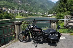 Harley Davidson 883 iron