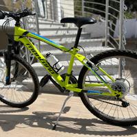 Bici mountain-bike in perfette condizioni