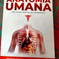 anatomia umana