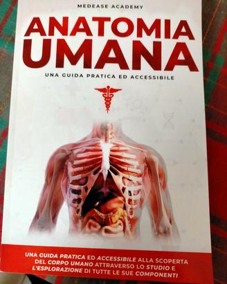 anatomia umana