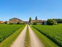 rustico-a-castel-goffredo
