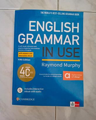 English Grammar In Use
