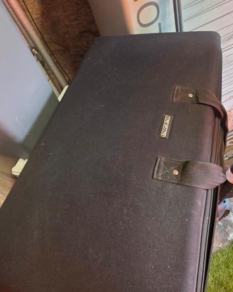 pionner rev5