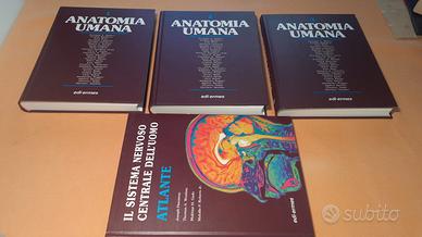 Anatomia Umana ed. ERMES 2004